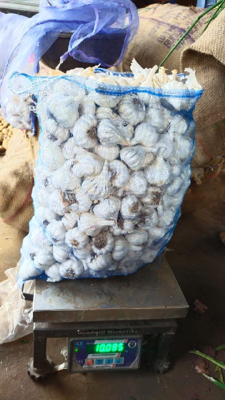 Natural 25 garlic packing net bag, Packaging Type : Bale