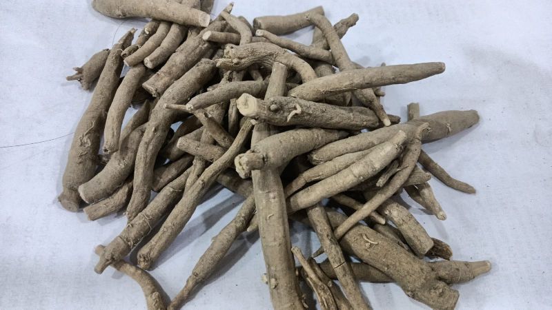 ashwagandha roots