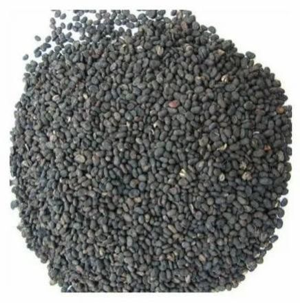 Bapchi Seeds
