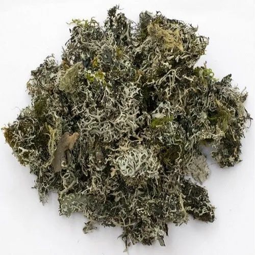Chadila Raw Herbs
