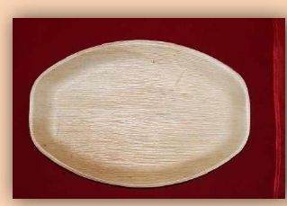 OV 02 Areca Leaf Oval Plates, for Serving Food, Size : 9x13 Inch