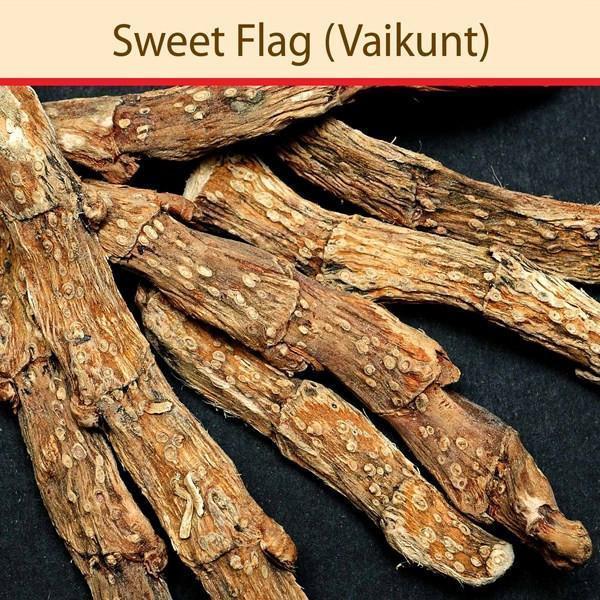 Sweet Flag, Style : Dried