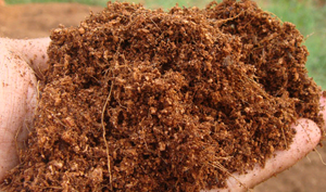 organic manure