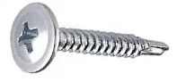Modified Truss Self Drilling Screws, for Hardware Fitting, Technics : Hot Rolled