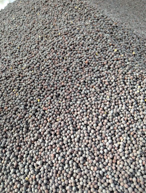Raw Common black mustard seeds, for Food Medicine, Spices, Cooking, Packaging Type : Plastic Pouch