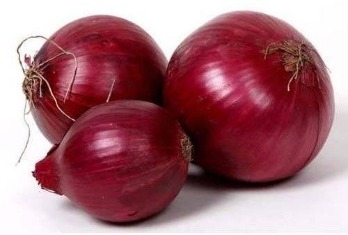 Organic fresh red onion, Packaging Type : Gunny Bag