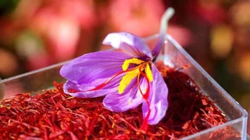 Pure Kashmiri Saffron, Packaging Type : Glass Bottle