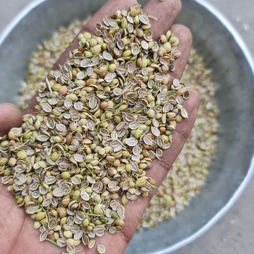 Green Organic Coriander Split Seeds, for Spice, Packaging Type : Loose