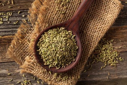 Organic Fennel Seeds, Shelf Life : 18 Months