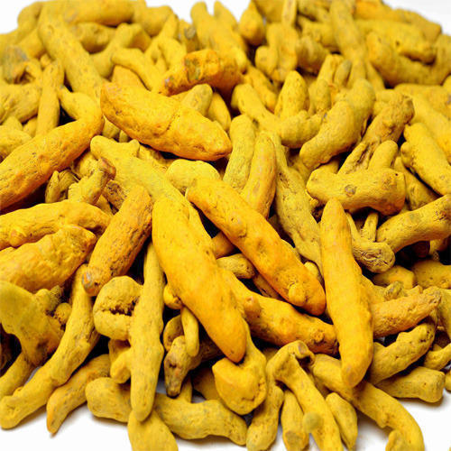 Yellow Salem Turmeric Finger, for Cooking, Spices, Shelf Life : 6 Month
