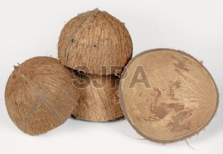 Brown Raw Coconut Shell, for Handicraft, Agricultural, Packaging Type : Bag