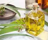 Eucalyptus Oil, Feature : Purity, Freshness, Aid Wound Care