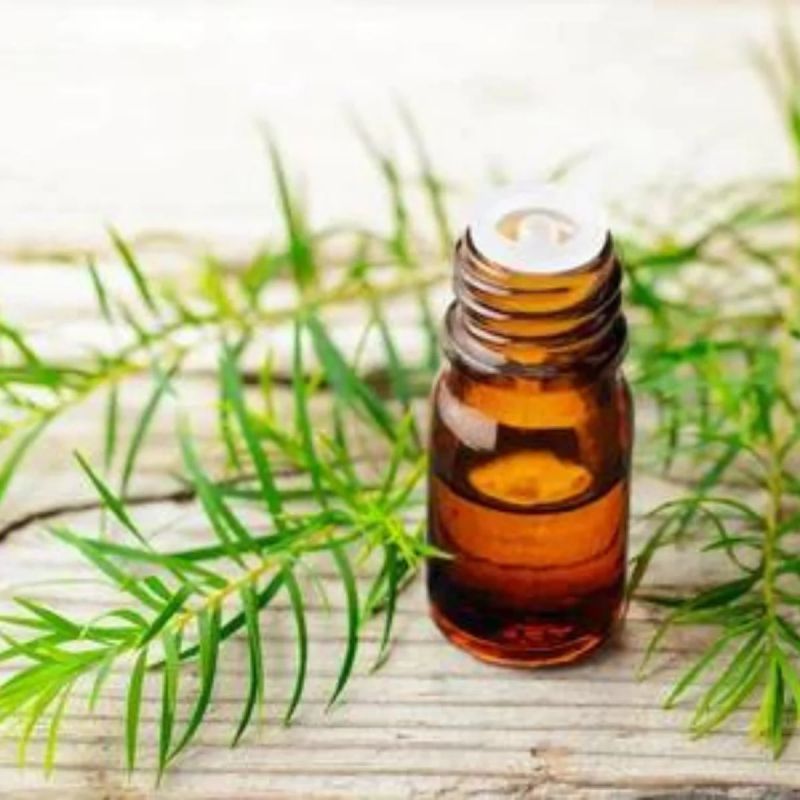 Liquid Tea Tree Oil, for Medicine, Cosmetics, Purity : 100%