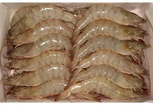 Head Onshell On Frozen Vannamei Shrimp HOSO, Packaging Type : Vaccum Packed