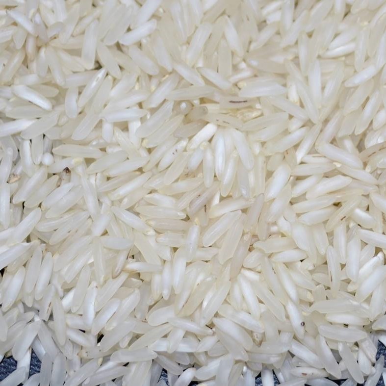 Creamy Soft Natural PR 11 Steam Rice, for Cooking, Variety : Medium Grain