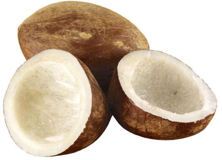 Dry Coconut