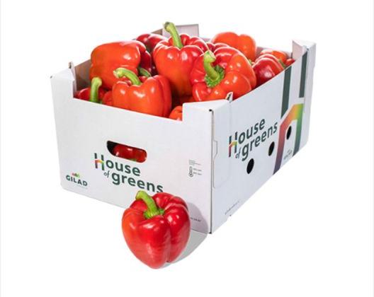Bell Pepper, For Cooking, Packaging Size : 5kg