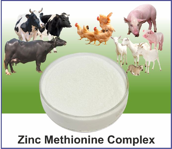 Zinc Methionine Complex, Style : Dried