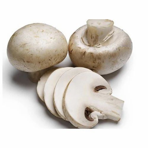 Natural Button Mushroom