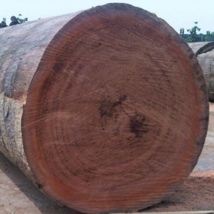 Brown Wood, Feature : High Strength