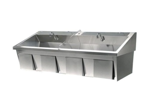 Double Station Scrub Sink with Digital Controller