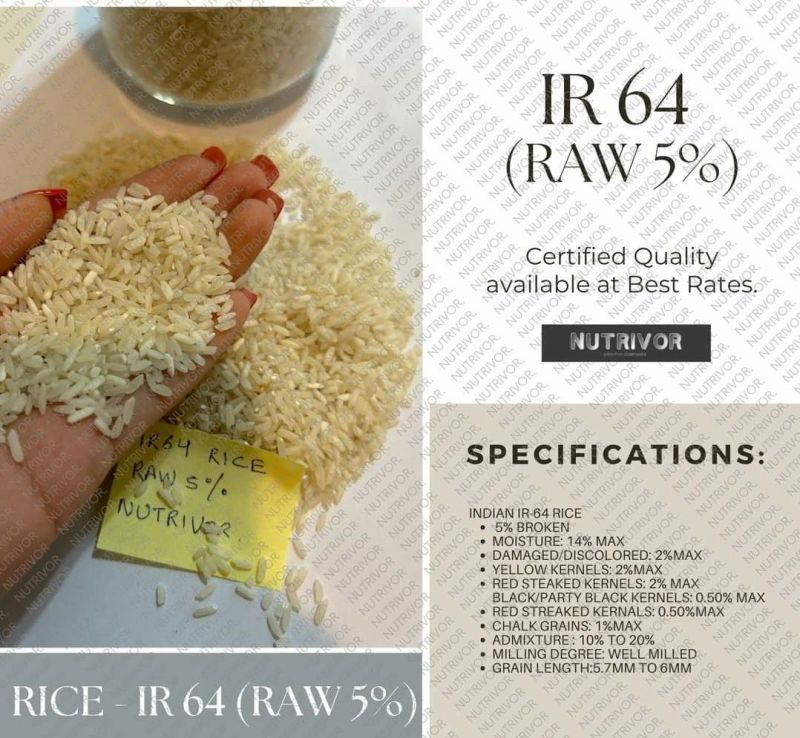 Ir 64 rice, Color : White