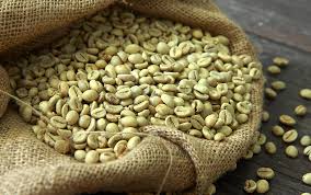 Green Organic Coffee Beans, Packaging Type : Packet