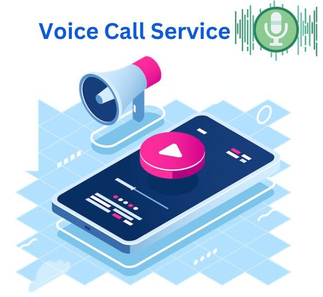 voice call service