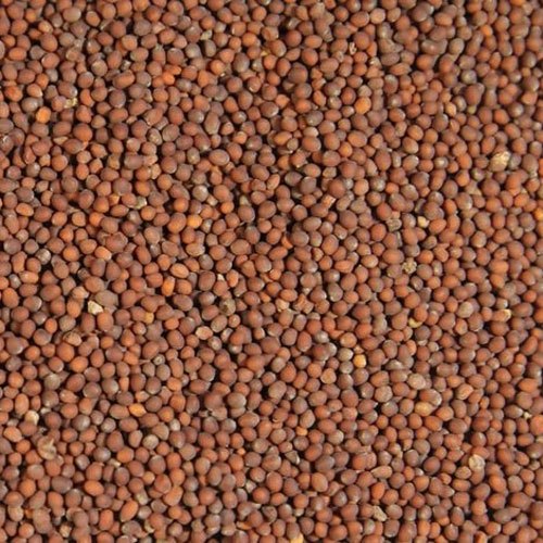 Organic Brown Mustard Seeds, for Cooking, Style : Dried