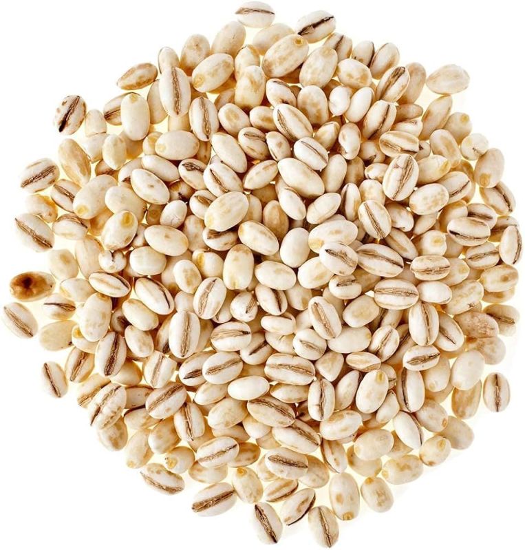 Organic Hulled Barley Seeds, Style : Dried