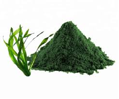 Green Spirulina Powder, for Pharma Food, Grade : Superior