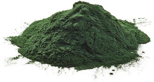 Green Herbal Spirulina Powder, for Pharma Food, Grade : Superior