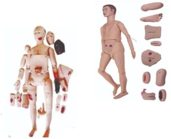 Brown Fiber Nursing Mannequin Model, for Laboratory, Gender : Female