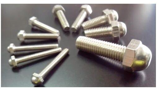 Stainless Steel Dome Bolts