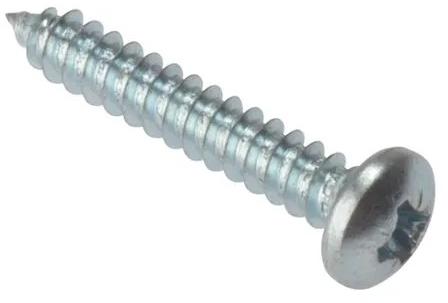 Slotted Stainless Steel Screw