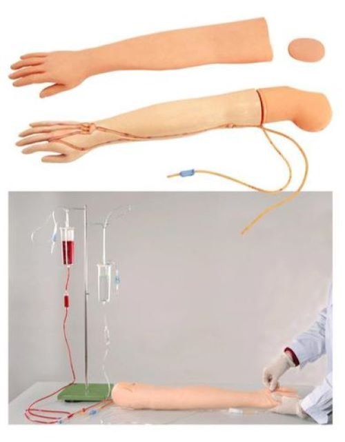 Multifactional Intravenous Injection Arm Model
