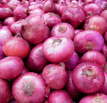 Fresh onion, Packaging Type : Net Bag