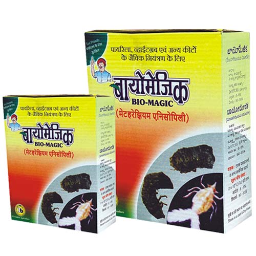 Bio-magic Metarhizium Anisopliae Bio Pesticide, for Agriculture, Packaging Type : 2 Kg, Paper Box