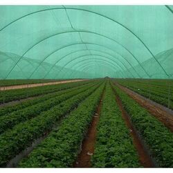 30-350 gsm HDPE Plastic Agro Shed Net