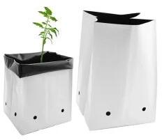 Coco Peat Grow Bag