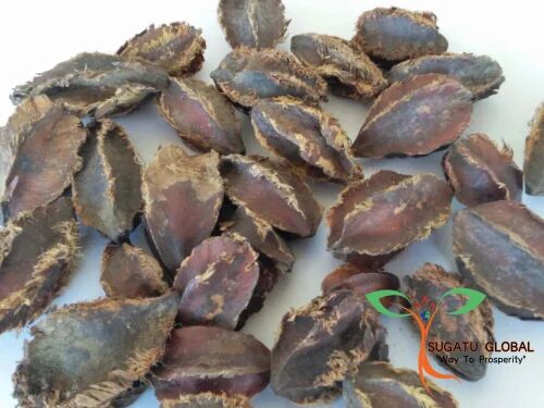 Terminalia Arjuna, for Agriculture, Color : Brown