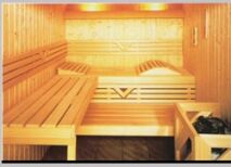 Sauna cabin