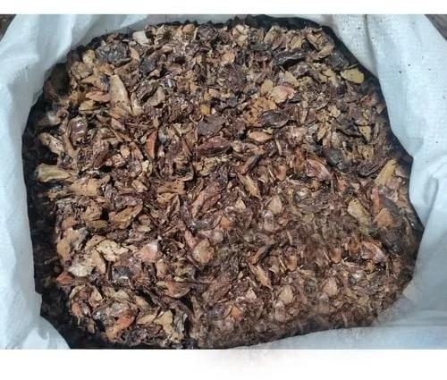 Brown Natural Cashew Nut Shell Cake, for Industrial, Style : Dried