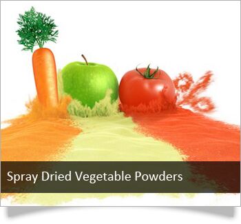 Spray dried vegetable powders