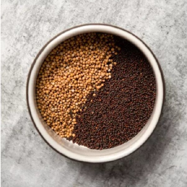 Mustard Seeds Black & Yellow, for Spices, Cooking, Packaging Type : Plastic Packet