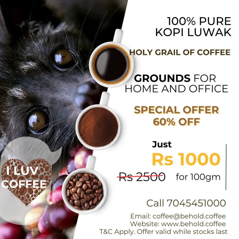 Kopi Luwak civet coffee, for Restaurant, Hotel, Home