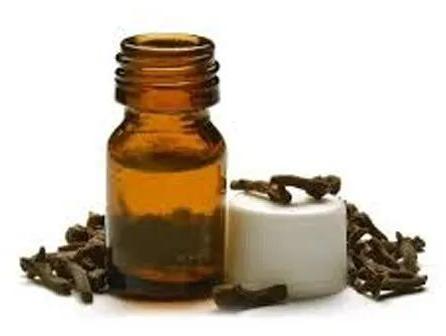 Clove Essential Oil, Packaging Type : Bottle