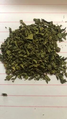 Green Tea Leaves, Packaging Type : Loose