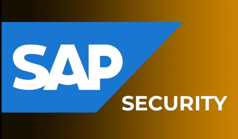 Best SAP Security Training from Hyderabad