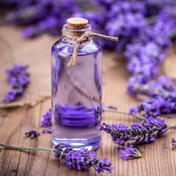 Quanto Agroworld Lavender Essential Oil, CAS No. : 8000-28-0